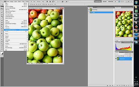 Editing and optimising the file for web use.