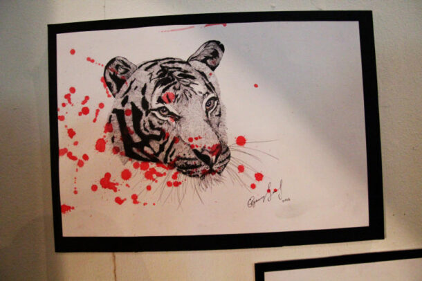 A Malayan tiger drawn by Foo Jynwaye.