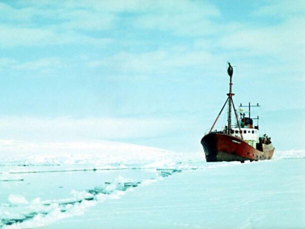 Robert Swan takes people out to the edges of Antarctica every year through expeditions organised with his company 2041. The aim is to show people the direct impacts of climate change, and inspire them to educate others about what they have seen, when they return.