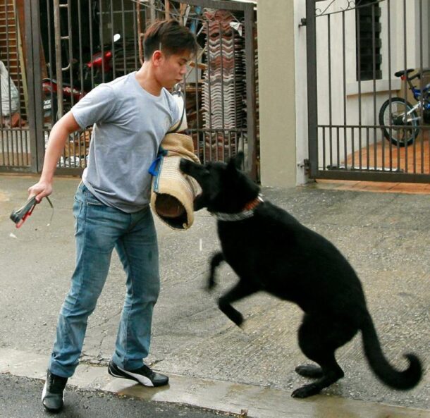 Teoh showing what happens to robbers who can't read warning signs