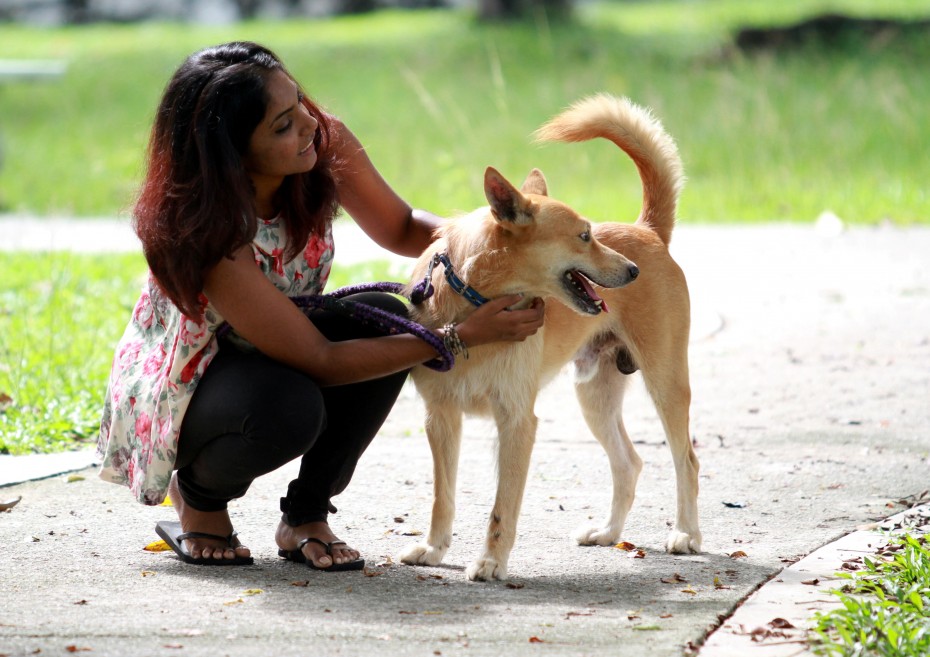 BFFs: Darshana Chellaiah, a PhD student and animal rescue volunteer, and her pet dog, Caerus.