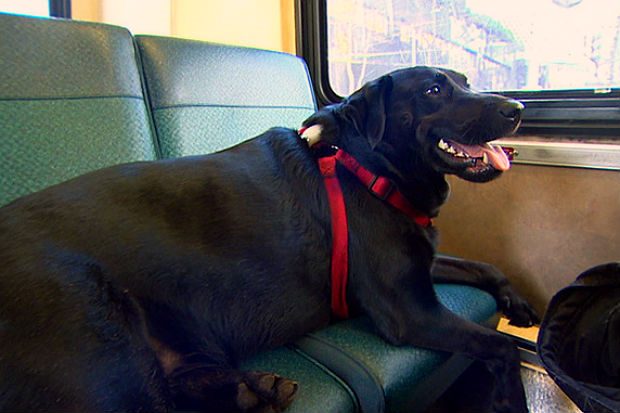 She is a bit of seat-hogger, though...