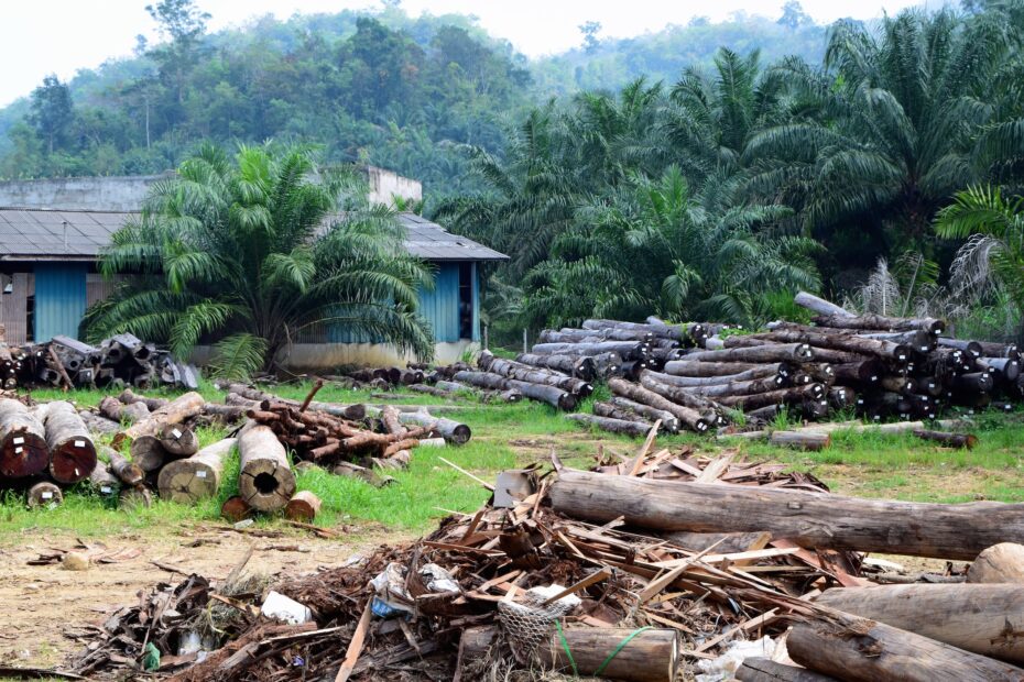 Casabrina and its furniture were produced in Tee's wood factory.