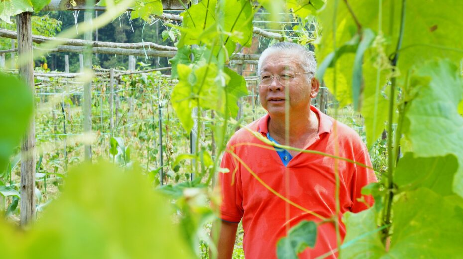 Felix Tee, owner of Casabrina Vacation Villas, believes that it's important to learn to live with nature, and be as eco-friendly as possible.