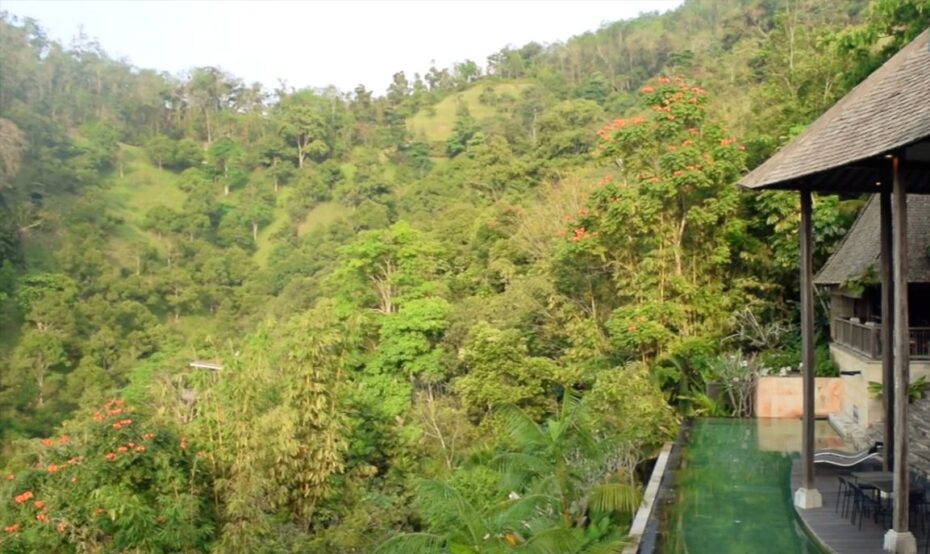 The jungle surrounding Casabrina Vacation Villas offered panoramic views of the thick greens, making it the perfect subject for a video.