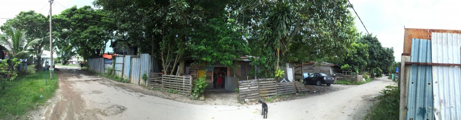 Mariyammah's house is kept upright by an assemblage of boards and nails and when it rains, it leaks.