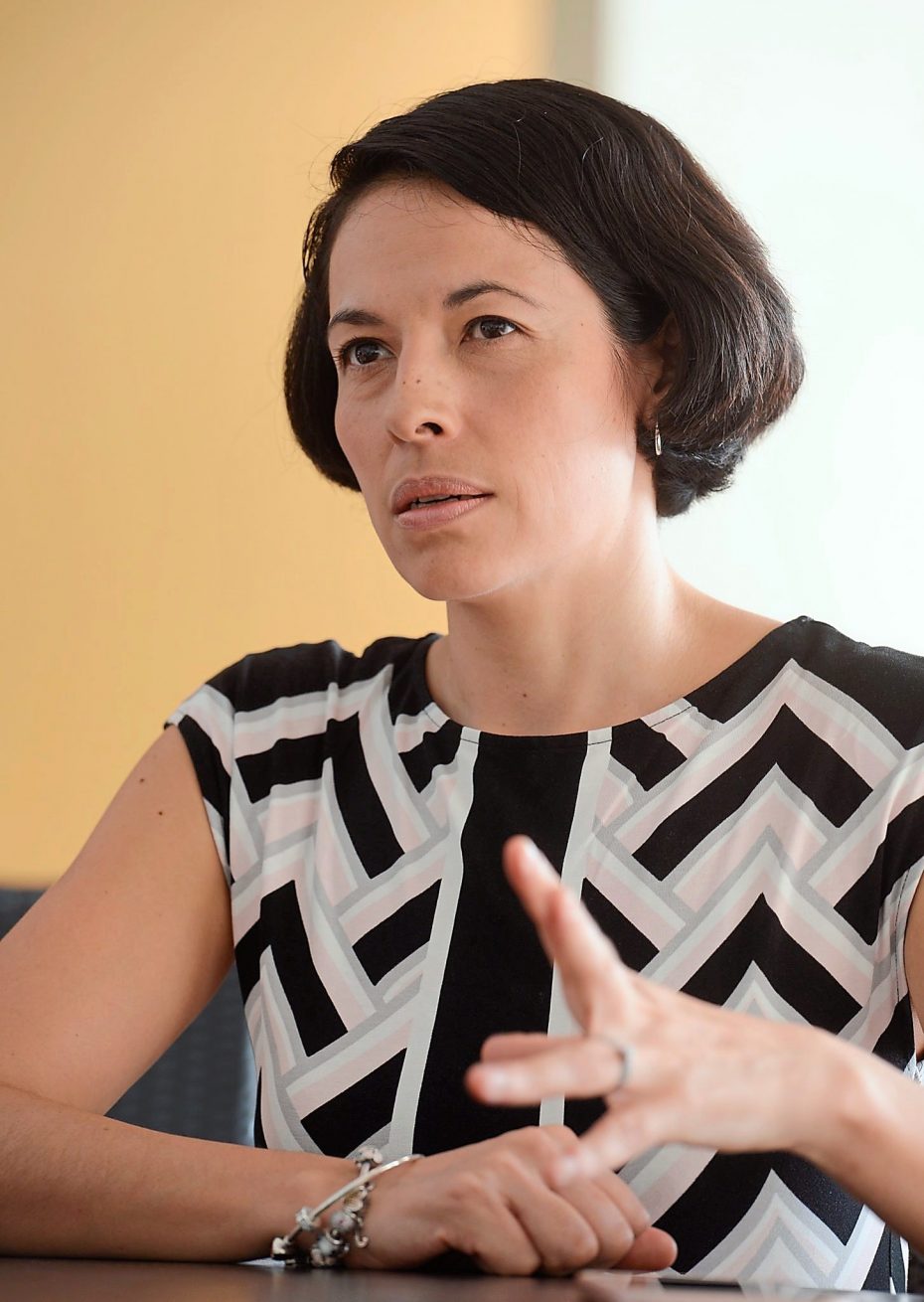 Teoh said the main problem was the public's lack of awareness, and gaining support from broadcasters to air documentaries. -- The Star/sia Hong Kiau