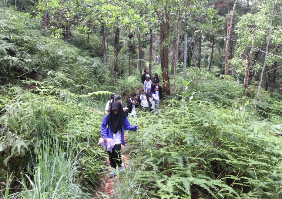 We like to take the BRATs out of their comfort zones, so we took them on a quest to find pitcher plants and gibbons in Genting’s mobile tech-enabled forest.